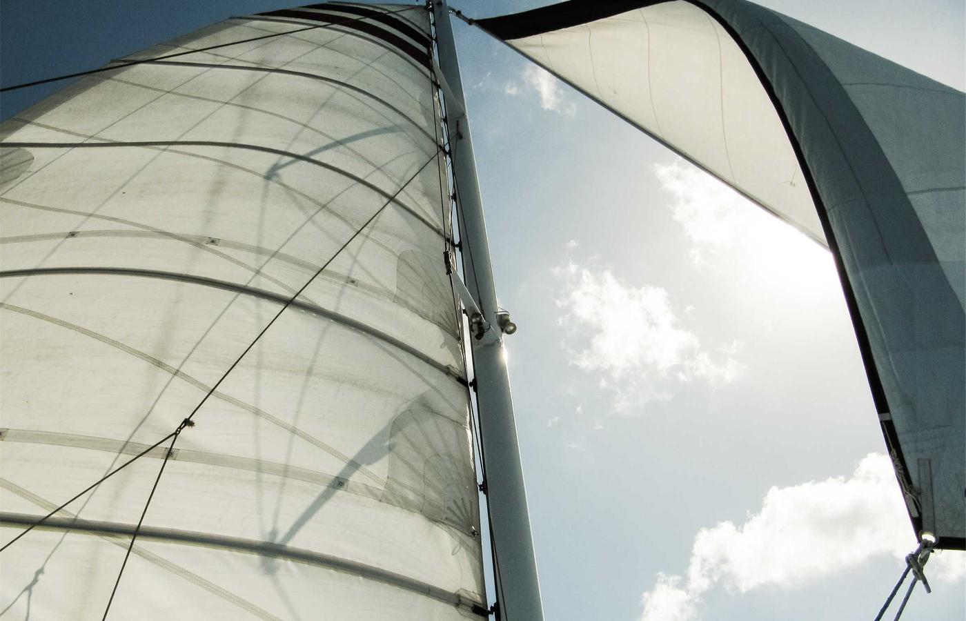 Porträt von Max Mustermann